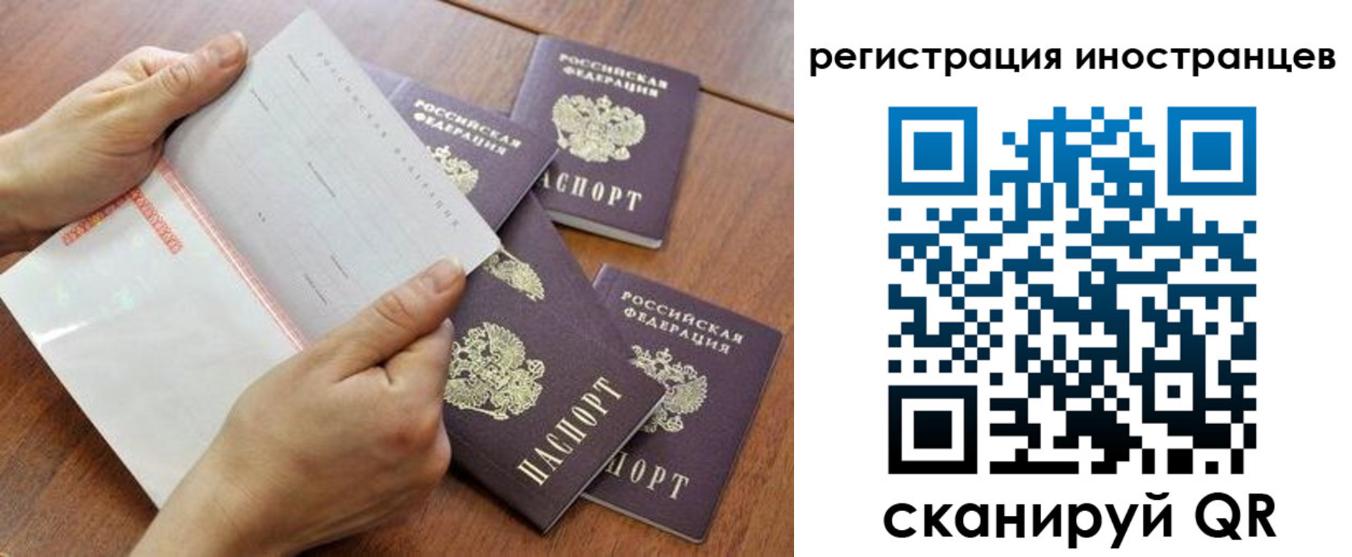 прописка поиск в Снежногорске